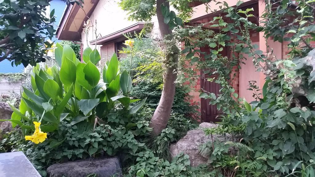 "Cherry House" Is Direct To Narita,Haneda Ap, Disney, Asakusa, Skytree Tower, Tokyo Matsudo Exteriör bild