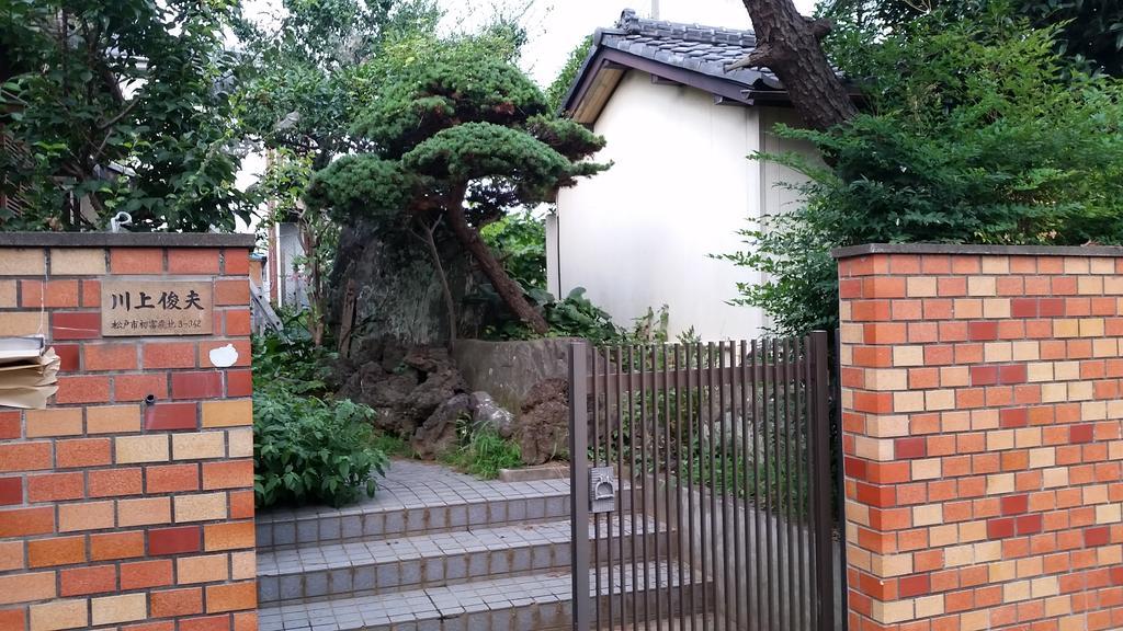 "Cherry House" Is Direct To Narita,Haneda Ap, Disney, Asakusa, Skytree Tower, Tokyo Matsudo Exteriör bild