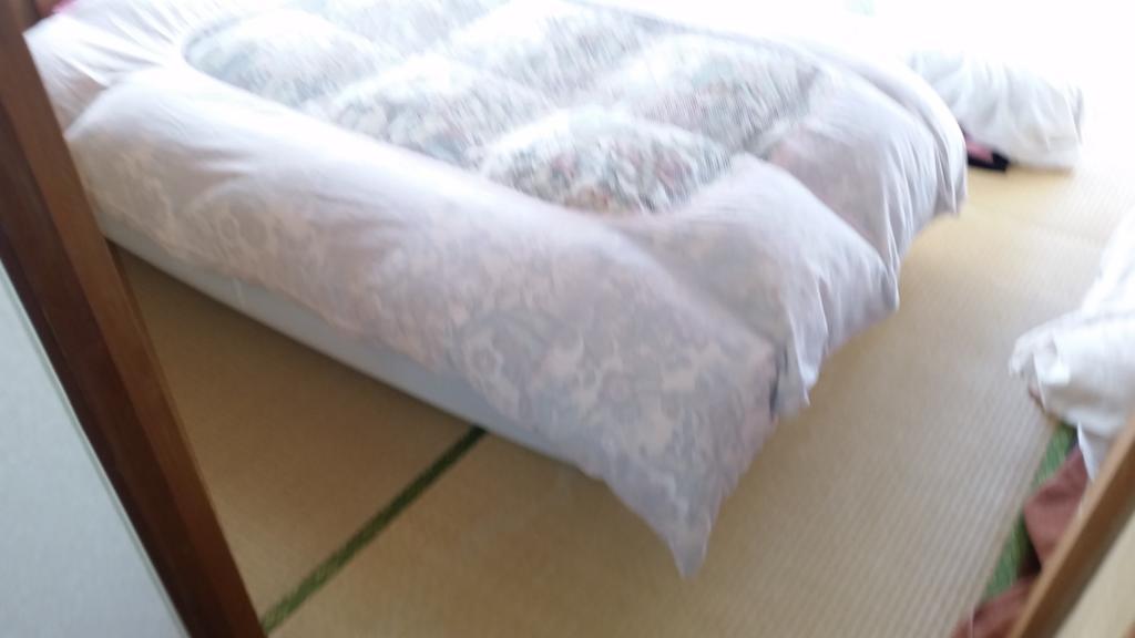"Cherry House" Is Direct To Narita,Haneda Ap, Disney, Asakusa, Skytree Tower, Tokyo Matsudo Exteriör bild
