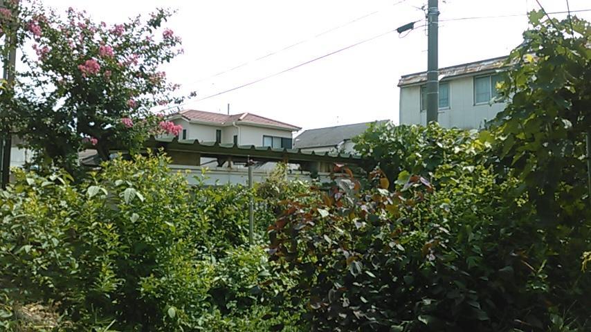 "Cherry House" Is Direct To Narita,Haneda Ap, Disney, Asakusa, Skytree Tower, Tokyo Matsudo Exteriör bild