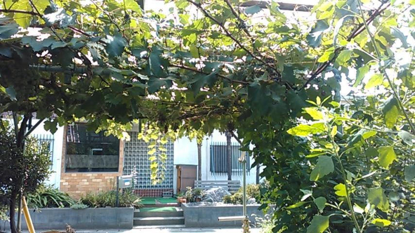 "Cherry House" Is Direct To Narita,Haneda Ap, Disney, Asakusa, Skytree Tower, Tokyo Matsudo Exteriör bild